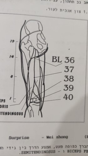 Bl36