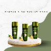 ערכה לטיפול של 3 חודשים  - YOXIER - סרום לעידוד צמיחת שיער וטיפול בנשירה