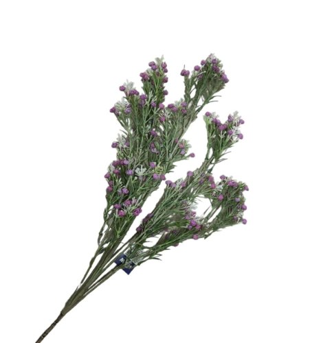 ענף פרחים סגולים