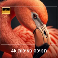מקרן-ביתי-עם-אנדרואיד-ורמקול-מובנה-2