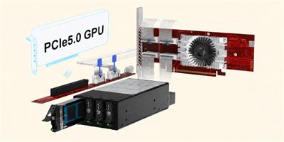 IPPON 4xM.2 to 2xMCIO 8i in 5.25" Bay PCIe5.0 Back Plan
