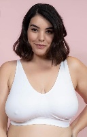 גוזיית סנטוני עם סוגר מאחור