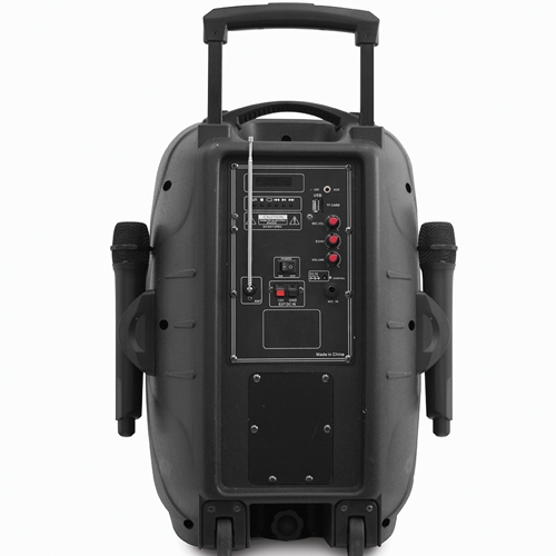 בידורית 12" 2000W P.M.P.O עם 2 מיק. אלחוטיים