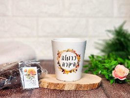עציץ קטן מתנה - כל מה שמואר צומח