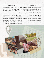 ספר דיגיטלי מדריד