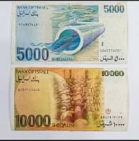 זוג שטרות-שנת 1984, שטר 5000 חמשת אלפים שקלים , אשכול,שטר 10000 עשרת אלפים שקלים, גולדה