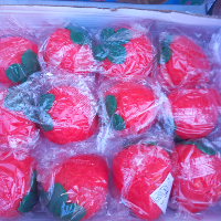סקווישי  נידו תות להפגת מתחים -  Squishy Nido Strawberry TG-315-2