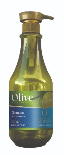 OLIVE שמפו לשיער יבש 800 מ"ל