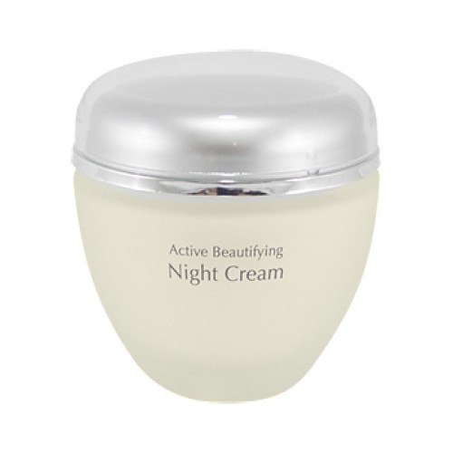 אנה לוטן קרם יופי ללילה אקטיבי - Anna Lotan New Age Control Active Beautifying Night Cream