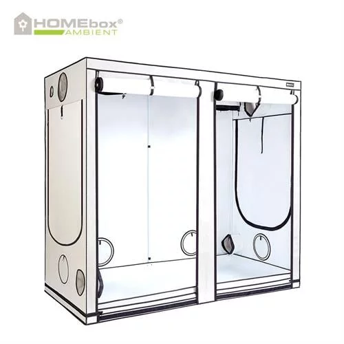 אוהל גידול הום בוקס HOMEbox Ambient R240+ 240x120x220