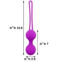 רצפת-אגן-ביצים