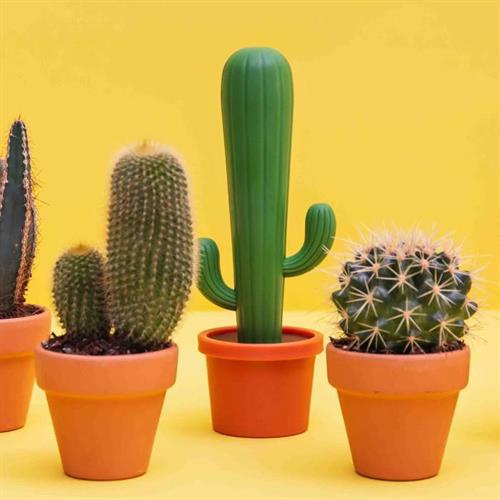 מברשת כלים עציץ קקטוס Cactus
