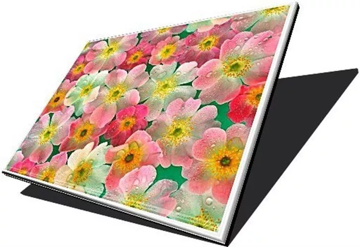 החלפת מסך למחשב נייד Laptop Screen 14.1 XGA LCD 1024X768 CCFL