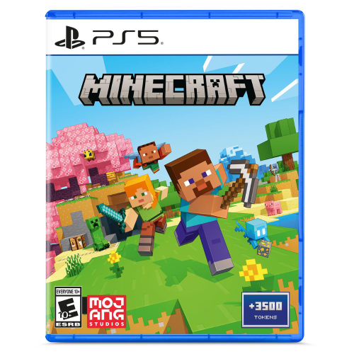 PS5 - MINECRAFT