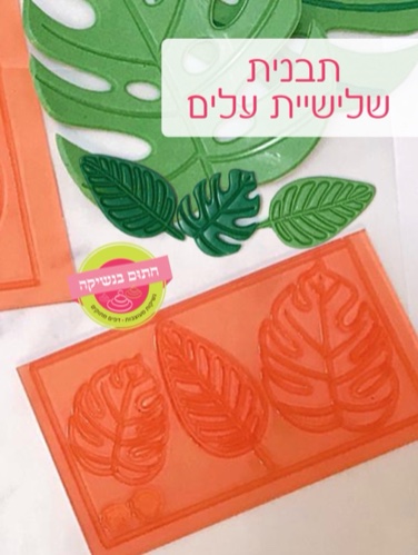 שלישיית עלי גונגל קטנים