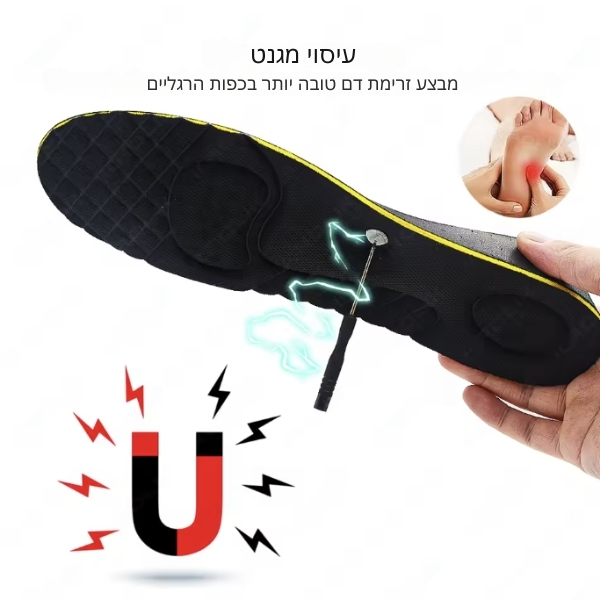 רגליים-רפידות-כפות