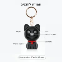 מכשיר-הקלטה-זעיר