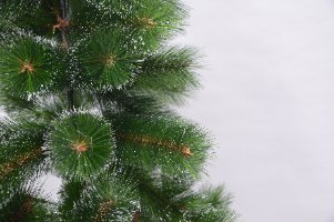 עץ אשוח ירוק מושלג אורן  מפואר Christmas tree 180 cm TR5