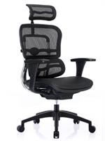 כיסא משרדי Comfort Ergohuman בעיצוב יוקרתי וארגונומי