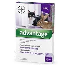 אמפולות אדוונטג נגד פרעושים לחתול מעל 4 ק"ג מתאים גם לארנבות - ADVANTAGE CAT & RABBIT+4KG