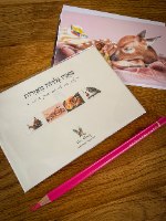 מארז גלויות מאויירות