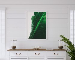 תמונת קנבס הדפס קלוז אפ  "Deep Green" |בודדת או לשילוב בקיר גלריה | תמונות לבית ולמשרד