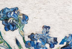הדפס ציור שמן של ואן גוך | רפרודוקציה של יצירת האומנות "האירוסים \  Irises" | תמונה מיוחדת לכל חלל