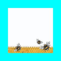 בלוק פתקיות מהודר יערת דבש זהובה Golden Honeycomb