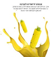 צעצוע מנגל לילדים