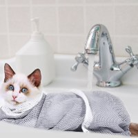 שק ריסון לחתולים למקלחת וטיפוח -3 יחידות