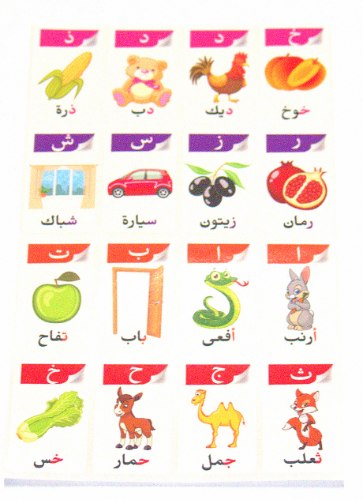 מדבקות לימוד ותרגול ערבית בעלי חיים ופירות ילדים מורות גננות 160 מדבקות בחבילה