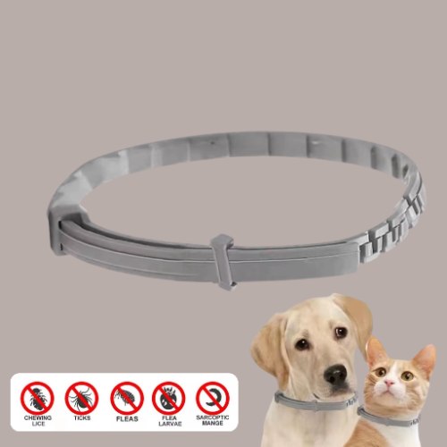 קולר נגד פרעושים וקרציות- PetSafe