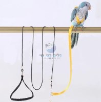 רצועה ורתמה עם כנפיים קטנות לתוכי / מכרסם קטן
