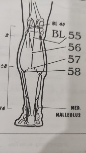 Bl57