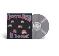 GRATEFUL DEAD/IN THE DARK  - SILVER LP