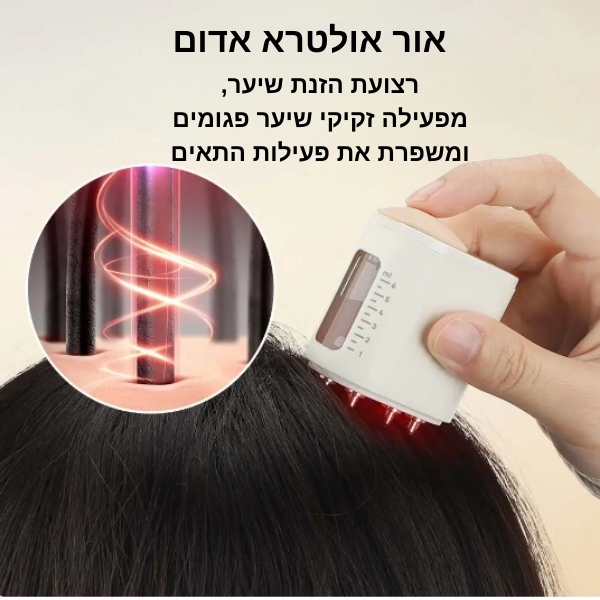 צמיחת-שיער-הזנה