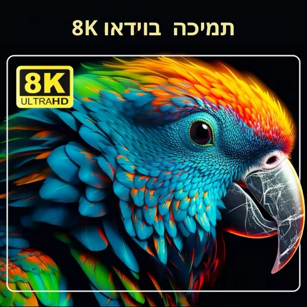 סטרימר-אנדרואיד-Mortal-8