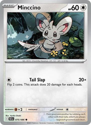 קלף בודד single פוקימון - minccino - Black Bolt - 075/086