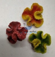 אלמוג צבעוני "פרח" 8 ס"מ