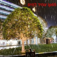 תאורת-אווירה-לעצים-סולארית-3