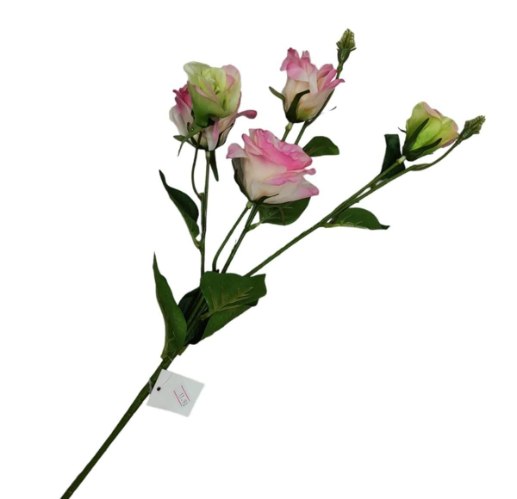 ענף פרחים   A3774-2