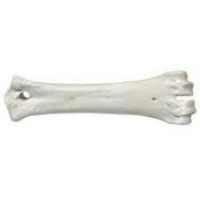 calcium bone לבנה לכלב 