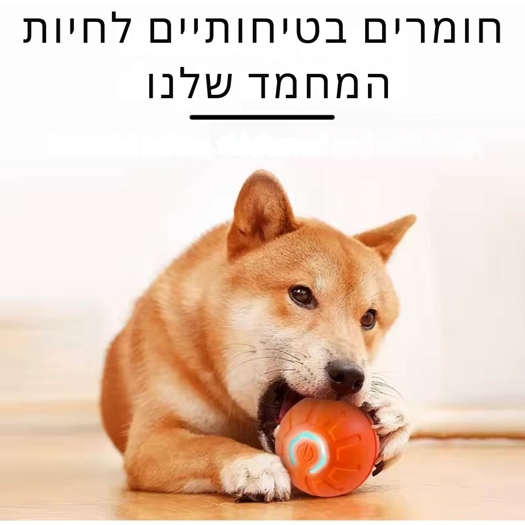 כדור חכם אינטראקטיבי לחיות מחמד