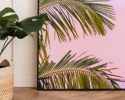 "Palms&Pink" תמונת קנבס עלי דקל ושמיים ורודים |בודדת או לשילוב בקיר גלריה | תמונות לבית ולמשרד