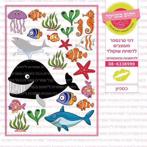 כספיון- דף סוכר או טרנספר לבחירה