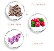 פריימר קונסילר לעור אחיד וחלק- CCprimer