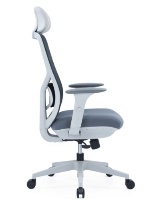 כיסא אורטופדי Seatplus Bold Plus מבית קיסר Keisar עם ריפוד איכותי
