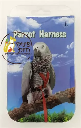 רתמה לתוכים