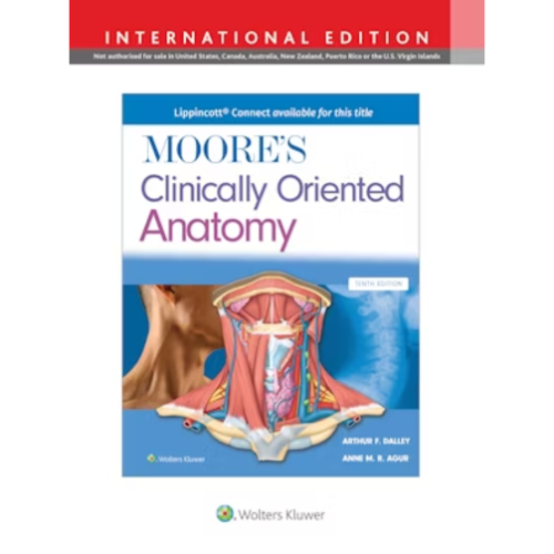 Moore's Clinically Oriented Anatomy 10th Edition
