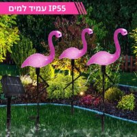 פלמינגו-מואר-סולארי-2